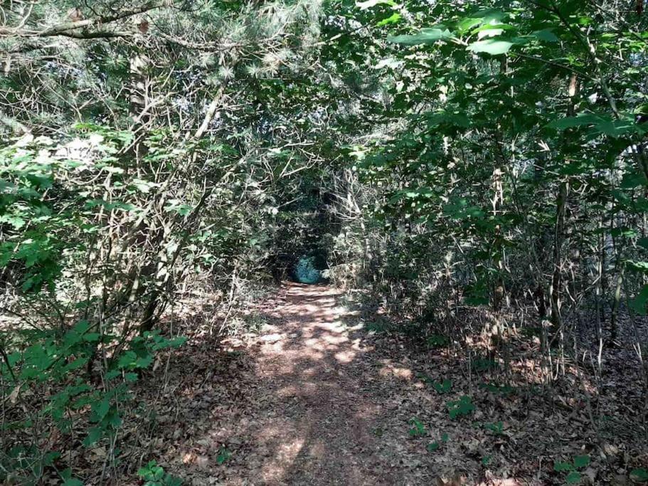 Vakantiehuis Eikzicht Gelegen Aan Het Bos Elsloo  Exterior foto