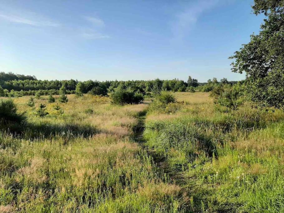 Vakantiehuis Eikzicht Gelegen Aan Het Bos Elsloo  Exterior foto