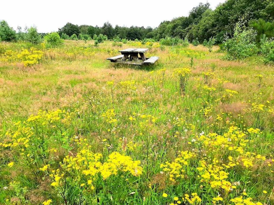 Vakantiehuis Eikzicht Gelegen Aan Het Bos Elsloo  Exterior foto