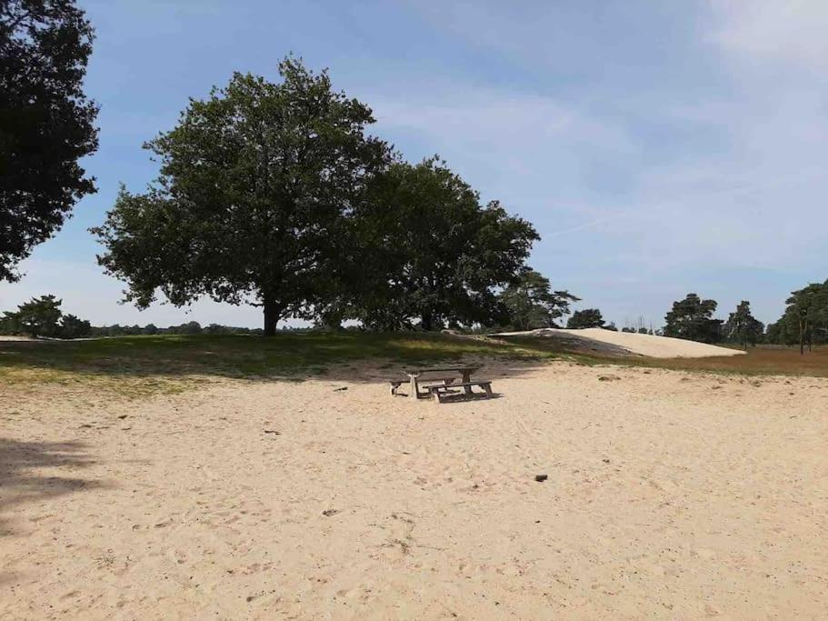 Vakantiehuis Eikzicht Gelegen Aan Het Bos Elsloo  Exterior foto