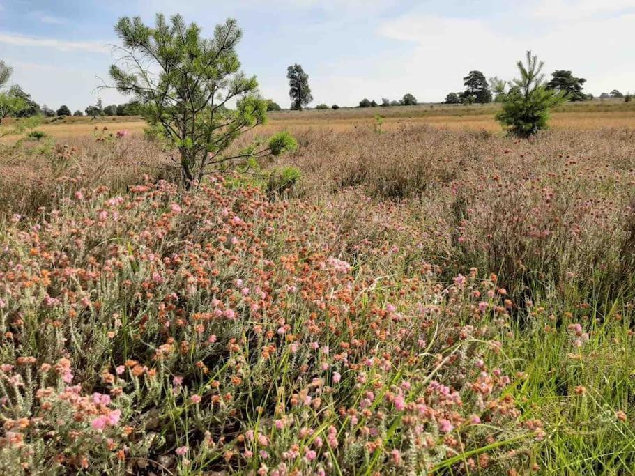 Vakantiehuis Eikzicht Gelegen Aan Het Bos Elsloo  Exterior foto