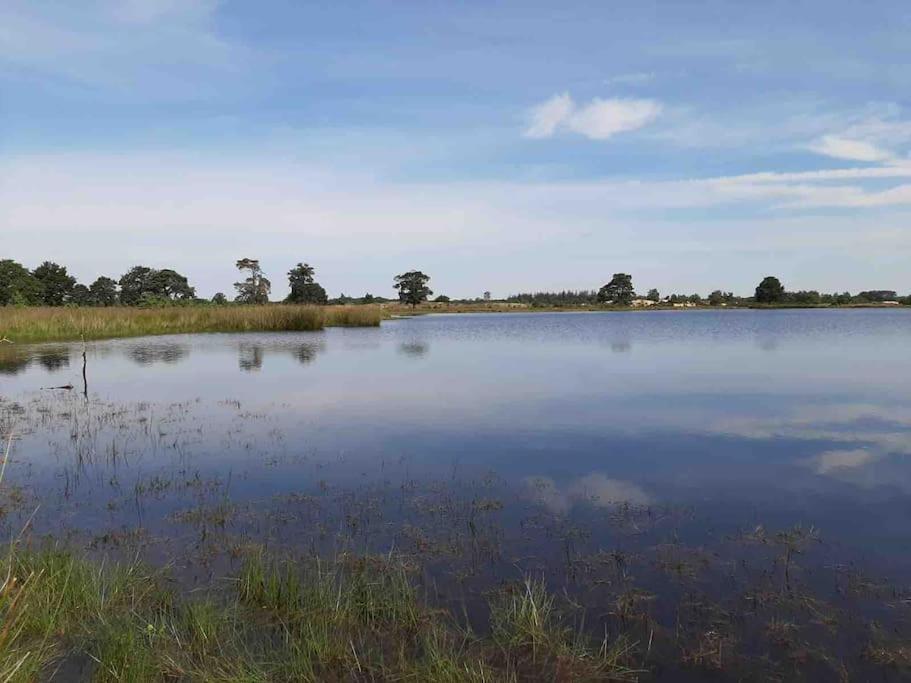 Vakantiehuis Eikzicht Gelegen Aan Het Bos Elsloo  Exterior foto