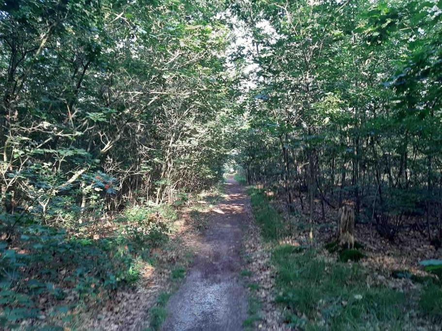 Vakantiehuis Eikzicht Gelegen Aan Het Bos Elsloo  Exterior foto