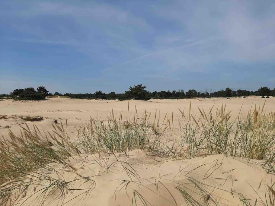 Vakantiehuis Eikzicht Gelegen Aan Het Bos Elsloo  Exterior foto